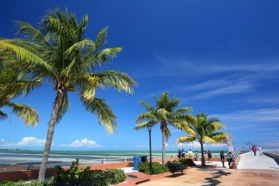 Florida Keys, August Summer Sunshine 