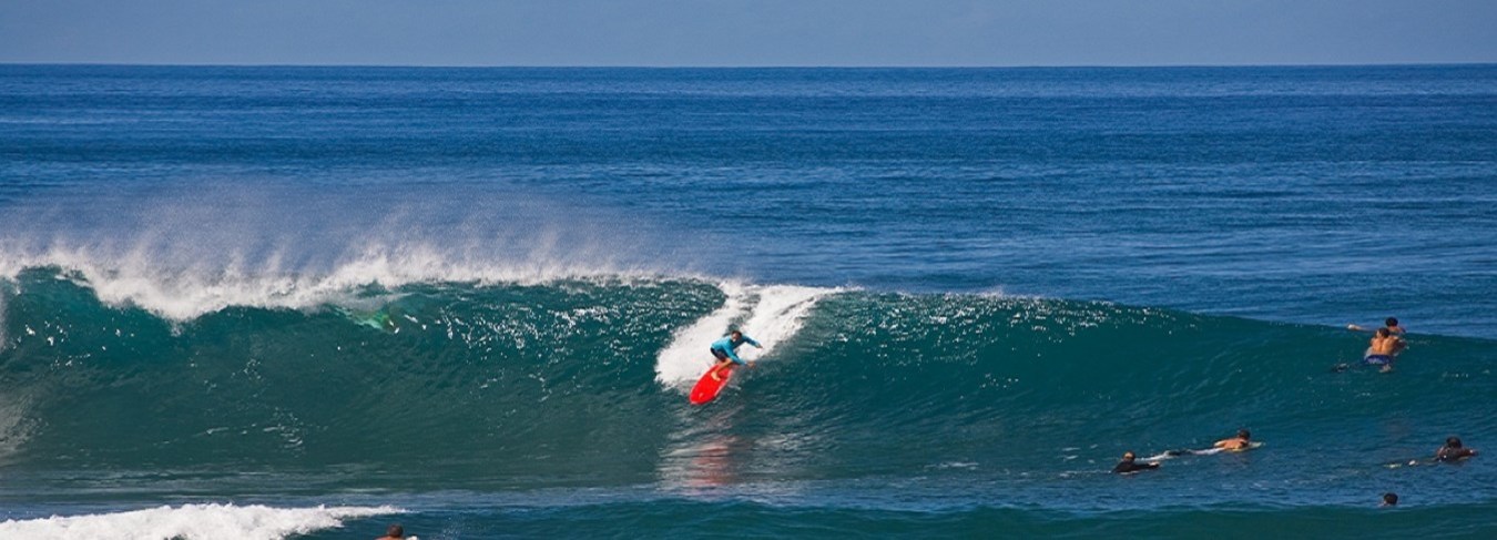 HI, Surfers North Shore Oahu credit HTA Tor Johnson