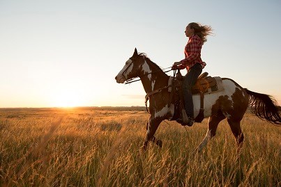 North Dakota. 