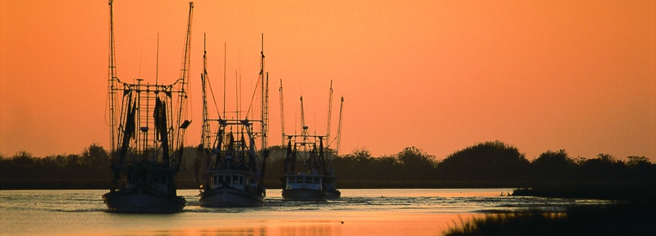 LA - Lafayette  - Shrimp Boats 