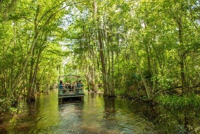 LA, Swamp Tour credit MNoel Productions