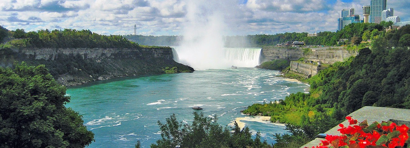 TAUCK_Niagara_flowers