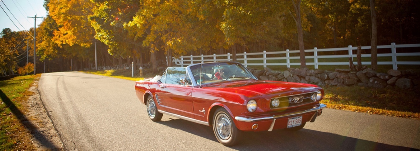 Convertible, Mustang