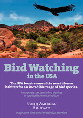 Bird Watching USA